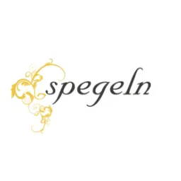 Salong Spegeln