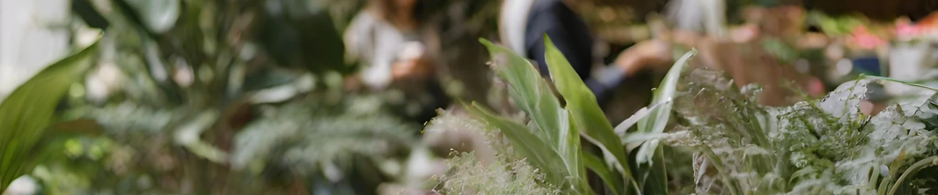 Jula - erbjudanden och rabatter hos Klubbrabatten