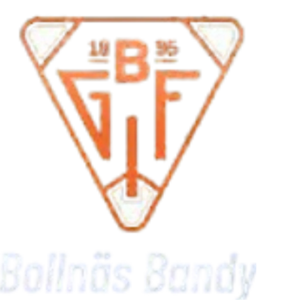 Bollnäs Bandy